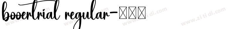 booertrial regular字体转换